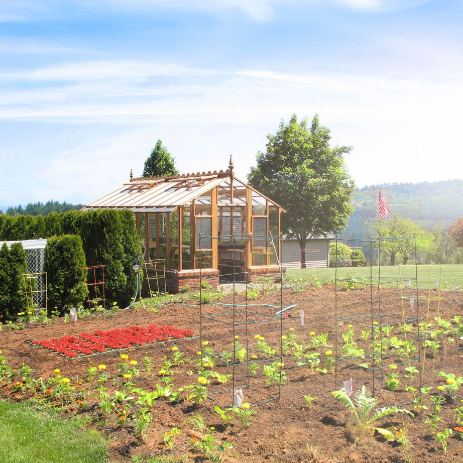 Vegetable garden with a greenhouse and various plants under a clear blue sky.