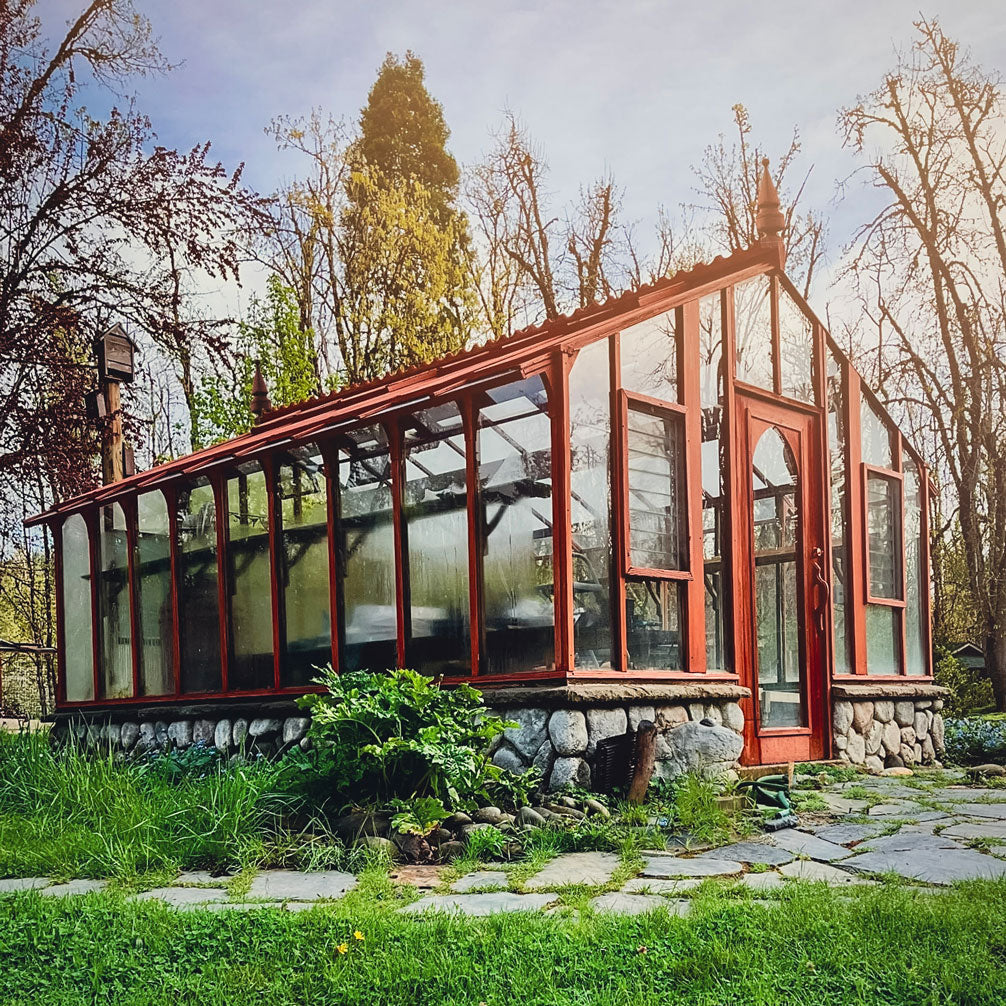Glass house with stone foundation surrounded by trees and greenery