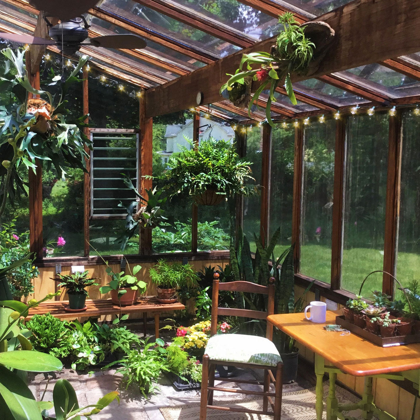 Sunroom with wooden beams, plants, and a table with a cup.