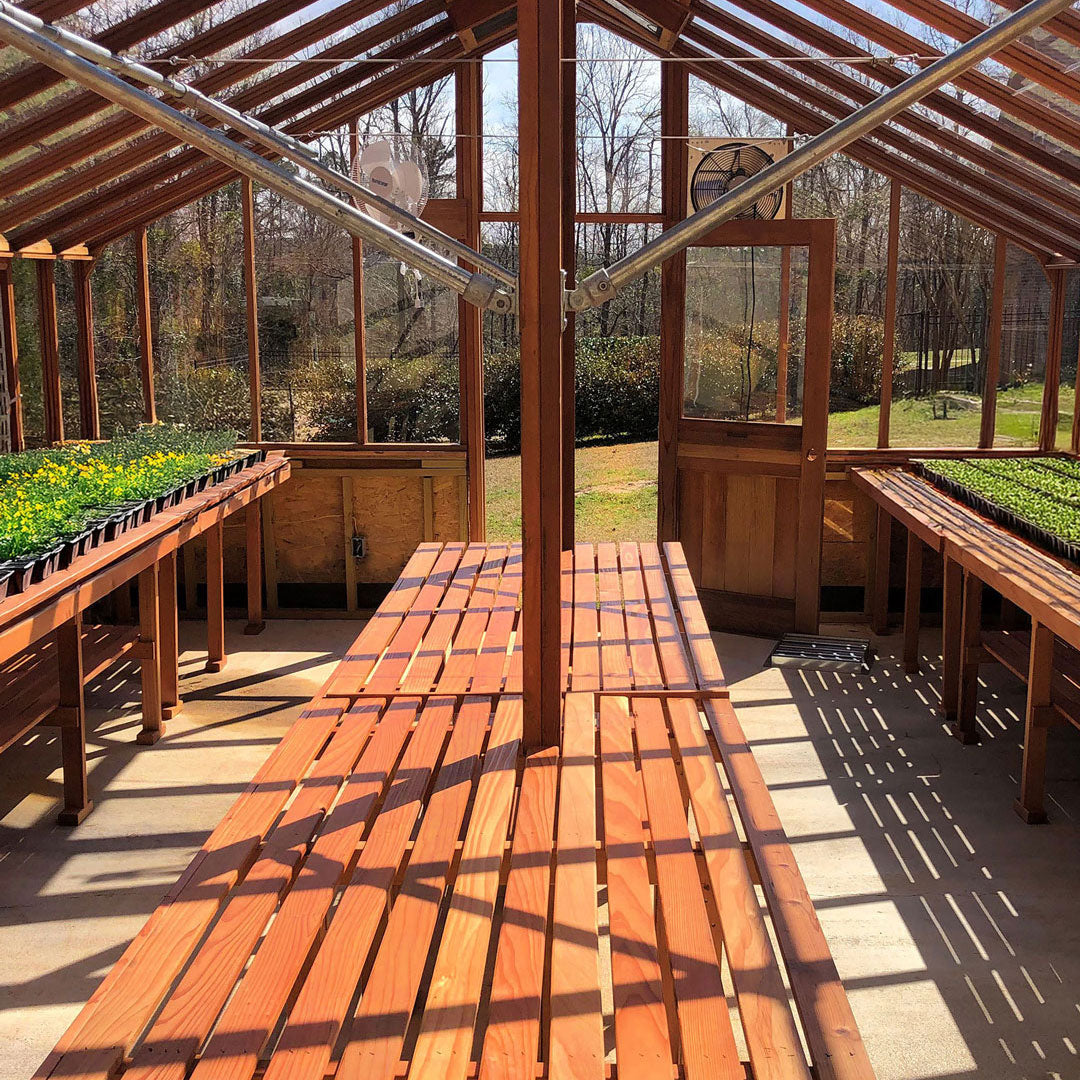 Greenhouse interior with wooden benches and plants